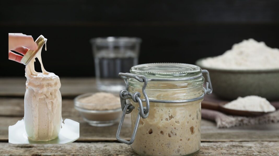 Sourdough Starter Recipe
