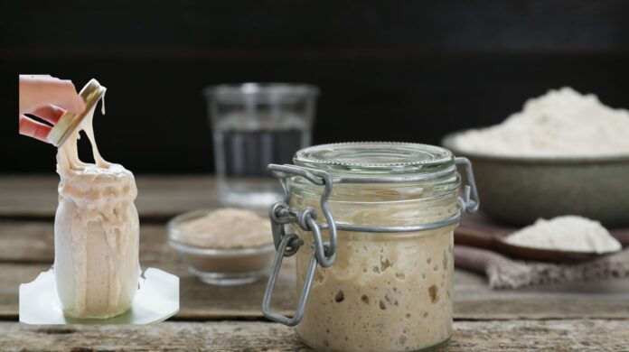 Sourdough Starter Recipe