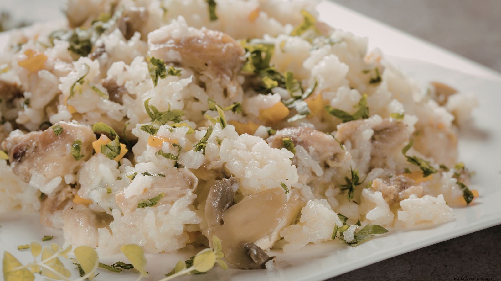 20 Easy Budget Meals